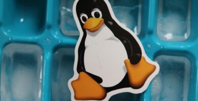 a penguin sticker on top of a blue ice cube